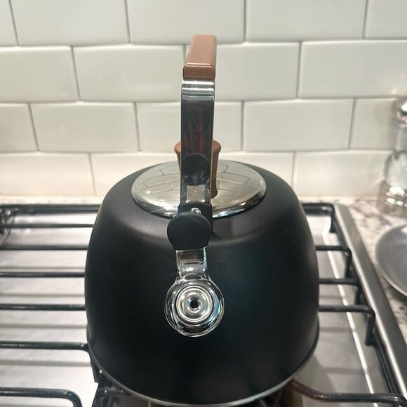 Well Equipped Kitchen Black Matte Stainless Steel Tea Kettle - Picture 3 of 5